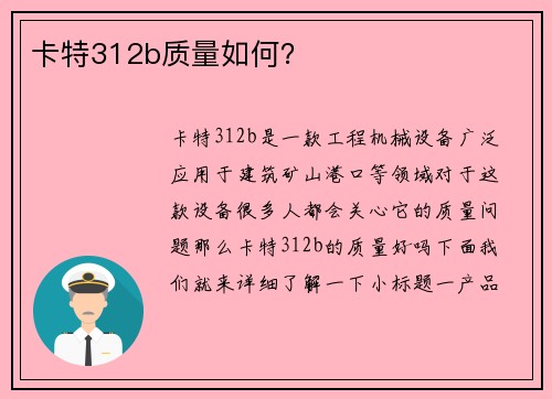 卡特312b质量如何？